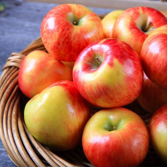 Honeycrisp Apple